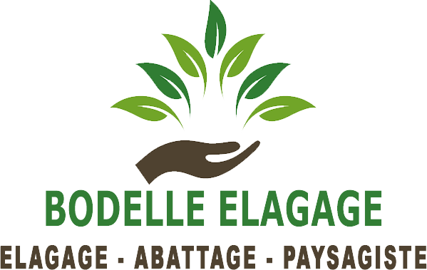  bodelle élagage